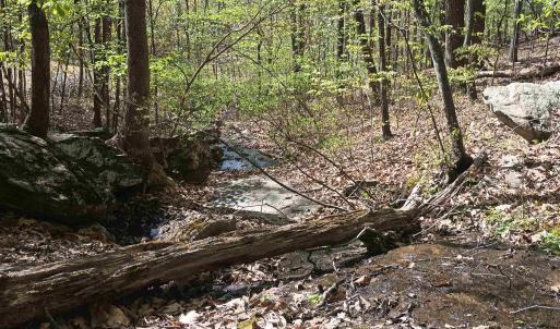 Photo #20 of ROCKFISH HEIGHTS LN, NELLYSFORD, VA 4.7 acres