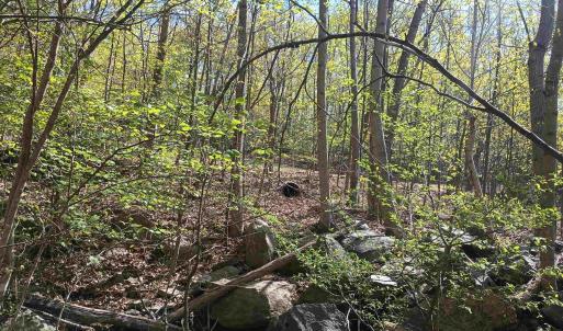 Photo #27 of ROCKFISH HEIGHTS LN, NELLYSFORD, VA 4.7 acres