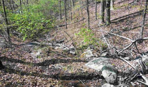 Photo #23 of ROCKFISH HEIGHTS LN, NELLYSFORD, VA 4.7 acres