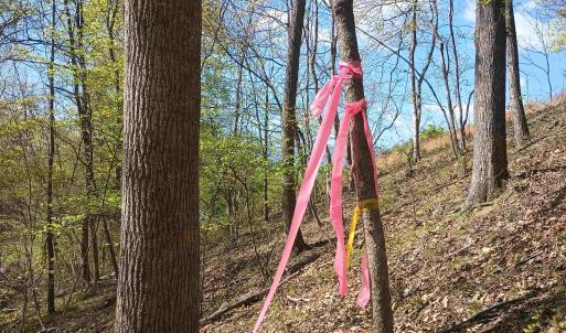 Photo #26 of ROCKFISH HEIGHTS LN, NELLYSFORD, VA 4.7 acres