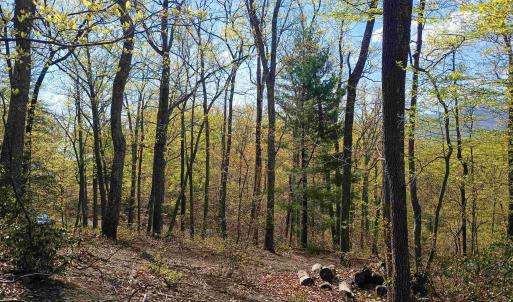 Photo #5 of ROCKFISH HEIGHTS LN, NELLYSFORD, VA 4.7 acres