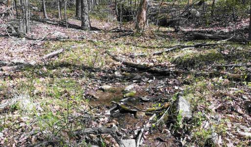 Photo #19 of ROCKFISH HEIGHTS LN, NELLYSFORD, VA 4.7 acres