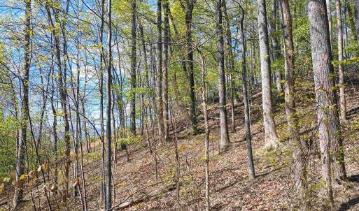 Photo #25 of ROCKFISH HEIGHTS LN, NELLYSFORD, VA 4.7 acres