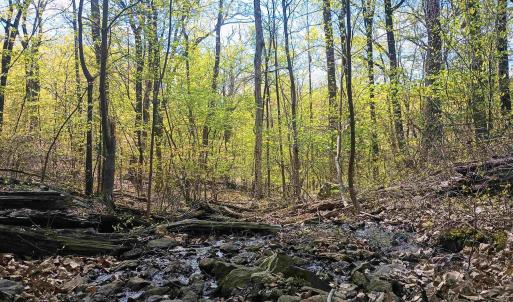 Photo #18 of ROCKFISH HEIGHTS LN, NELLYSFORD, VA 4.7 acres