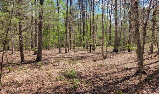 Photo #2 of 13.3 AC GLADE RD, SCHUYLER, VA 13.3 acres