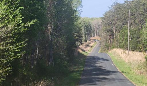 Photo #3 of 13.3 AC GLADE RD, SCHUYLER, VA 13.3 acres