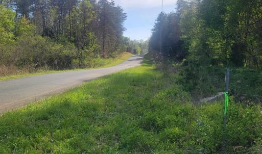 Photo #4 of 13.3 AC GLADE RD, SCHUYLER, VA 13.3 acres