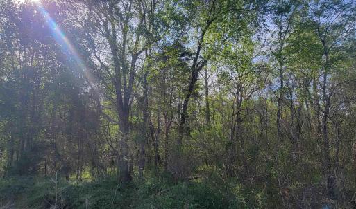 Photo #6 of 13.3 AC GLADE RD, SCHUYLER, VA 13.3 acres