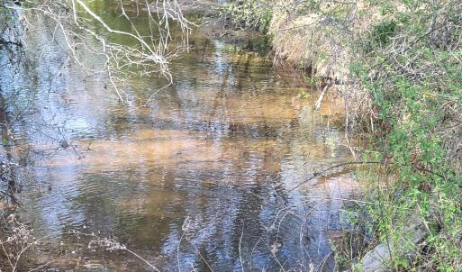 Photo #1 of 13.3 AC GLADE RD, SCHUYLER, VA 13.3 acres