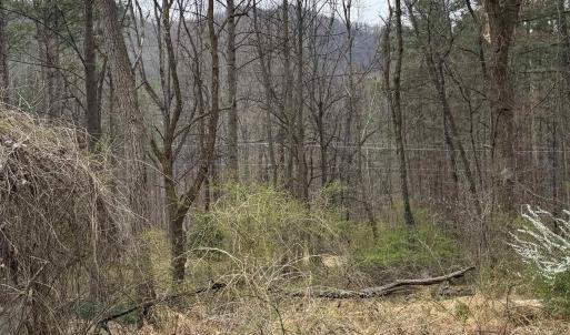 Photo #5 of 6133 PLANK RD, AFTON, VA 3.0 acres