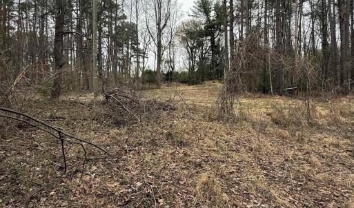 Photo #9 of 6133 PLANK RD, AFTON, VA 3.0 acres