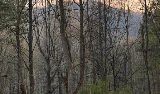 Photo #6 of 6133 PLANK RD, AFTON, VA 3.0 acres
