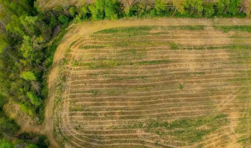 Photo #12 of 15799 STROOPTOWN RD, TIMBERVILLE, VA 8.2 acres