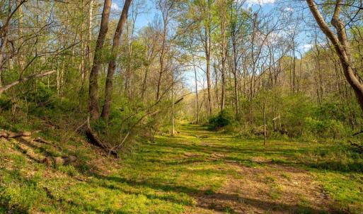 Photo #24 of 15799 STROOPTOWN RD, TIMBERVILLE, VA 8.2 acres
