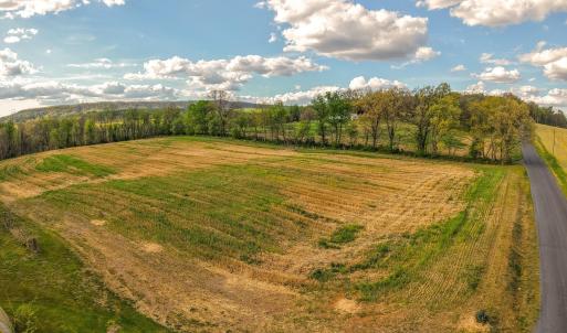 Photo #4 of 15799 STROOPTOWN RD, TIMBERVILLE, VA 8.2 acres