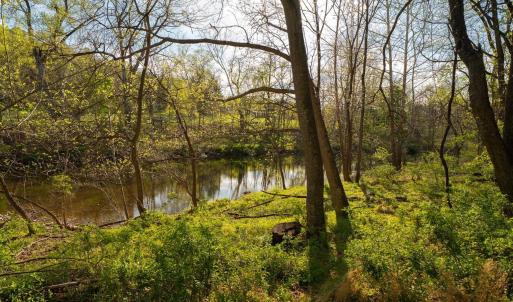 Photo #25 of 15799 STROOPTOWN RD, TIMBERVILLE, VA 8.2 acres