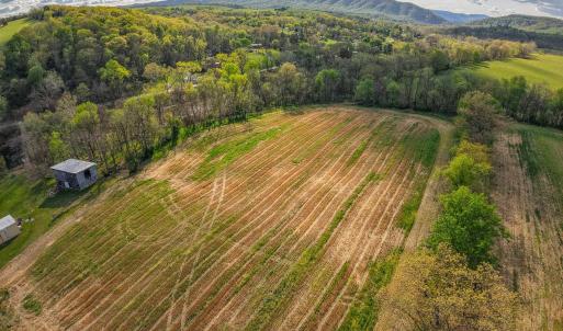 Photo #13 of 15799 STROOPTOWN RD, TIMBERVILLE, VA 8.2 acres
