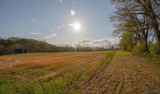 Photo #19 of 15799 STROOPTOWN RD, TIMBERVILLE, VA 8.2 acres