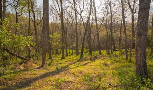 Photo #21 of 15799 STROOPTOWN RD, TIMBERVILLE, VA 8.2 acres