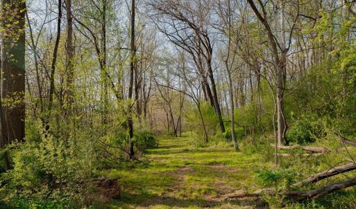 Photo #32 of 15799 STROOPTOWN RD, TIMBERVILLE, VA 8.2 acres