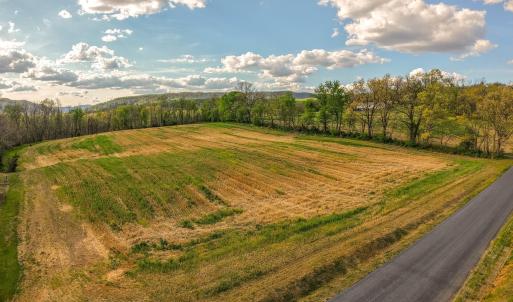 Photo #5 of 15799 STROOPTOWN RD, TIMBERVILLE, VA 8.2 acres