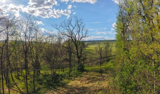 Photo #20 of 15799 STROOPTOWN RD, TIMBERVILLE, VA 8.2 acres