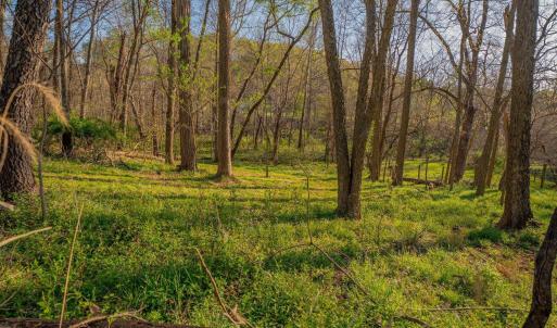 Photo #22 of 15799 STROOPTOWN RD, TIMBERVILLE, VA 8.2 acres