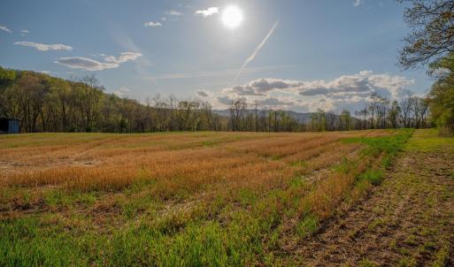 Photo #18 of 15799 STROOPTOWN RD, TIMBERVILLE, VA 8.2 acres