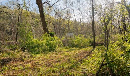 Photo #33 of 15799 STROOPTOWN RD, TIMBERVILLE, VA 8.2 acres