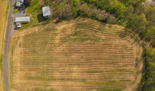 Photo #8 of 15799 STROOPTOWN RD, TIMBERVILLE, VA 8.2 acres