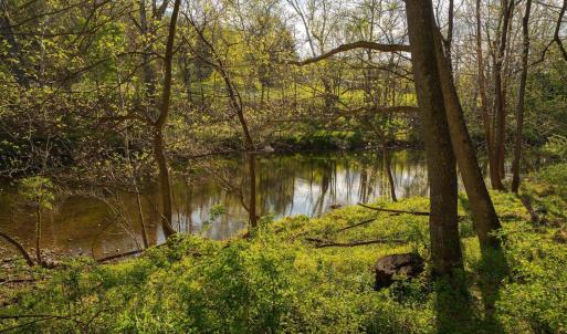 Photo #26 of 15799 STROOPTOWN RD, TIMBERVILLE, VA 8.2 acres