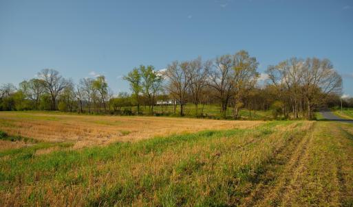 Photo #16 of 15799 STROOPTOWN RD, TIMBERVILLE, VA 8.2 acres