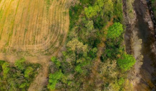 Photo #11 of 15799 STROOPTOWN RD, TIMBERVILLE, VA 8.2 acres