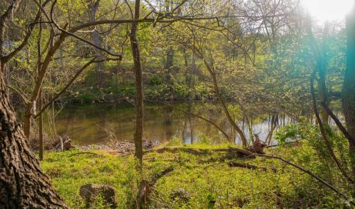 Photo #28 of 15799 STROOPTOWN RD, TIMBERVILLE, VA 8.2 acres