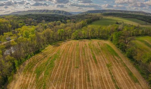 Photo #7 of 15799 STROOPTOWN RD, TIMBERVILLE, VA 8.2 acres