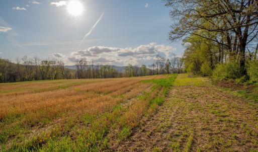 Photo #17 of 15799 STROOPTOWN RD, TIMBERVILLE, VA 8.2 acres