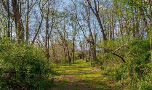 Photo #34 of 15799 STROOPTOWN RD, TIMBERVILLE, VA 8.2 acres