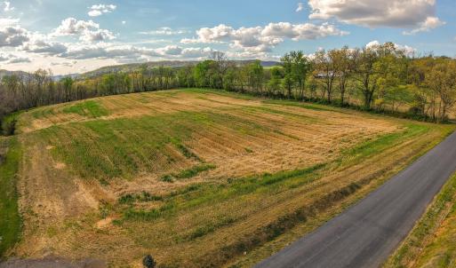 Photo #6 of 15799 STROOPTOWN RD, TIMBERVILLE, VA 8.2 acres