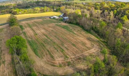 Photo #3 of 15799 STROOPTOWN RD, TIMBERVILLE, VA 8.2 acres