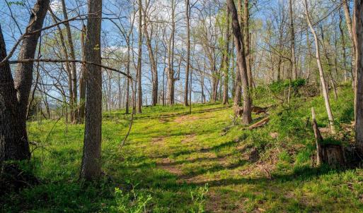 Photo #35 of 15799 STROOPTOWN RD, TIMBERVILLE, VA 8.2 acres