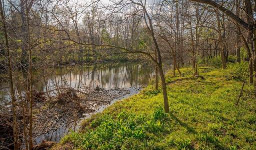 Photo #30 of 15799 STROOPTOWN RD, TIMBERVILLE, VA 8.2 acres