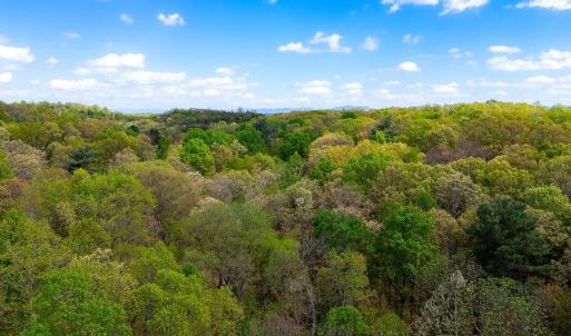 Photo #22 of TBD HESSIAN LN, STAUNTON, VA 4.9 acres
