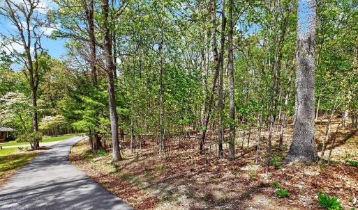 Photo #6 of TBD HESSIAN LN, STAUNTON, VA 4.9 acres