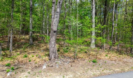 Photo #10 of TBD HESSIAN LN, STAUNTON, VA 4.9 acres