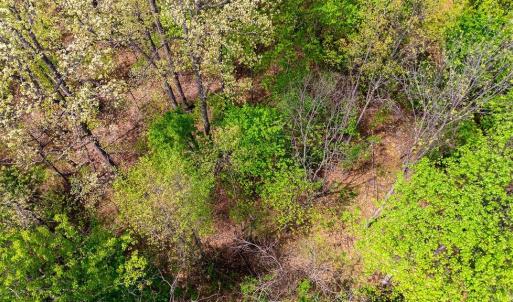 Photo #25 of TBD HESSIAN LN, STAUNTON, VA 4.9 acres