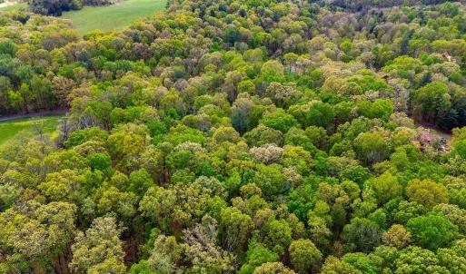 Photo #16 of TBD HESSIAN LN, STAUNTON, VA 4.9 acres
