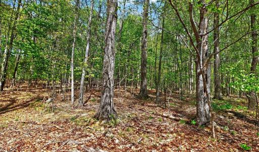 Photo #5 of TBD HESSIAN LN, STAUNTON, VA 4.9 acres