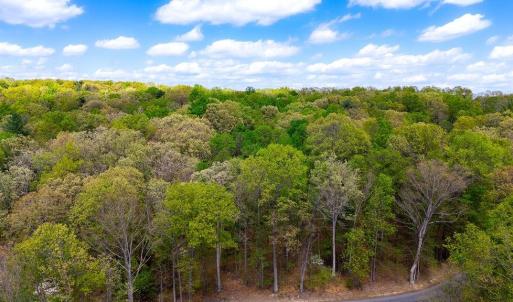 Photo #21 of TBD HESSIAN LN, STAUNTON, VA 4.9 acres