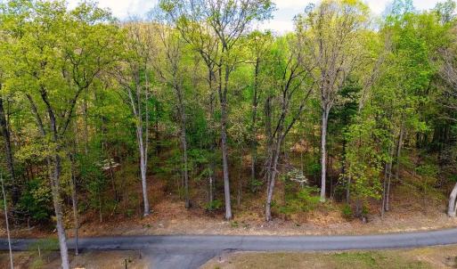 Photo #3 of TBD HESSIAN LN, STAUNTON, VA 4.9 acres