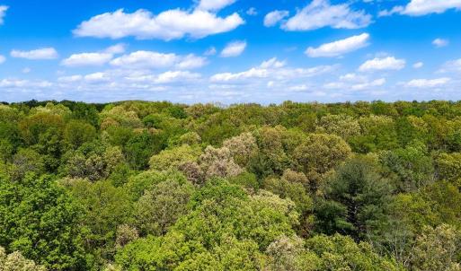 Photo #20 of TBD HESSIAN LN, STAUNTON, VA 4.9 acres